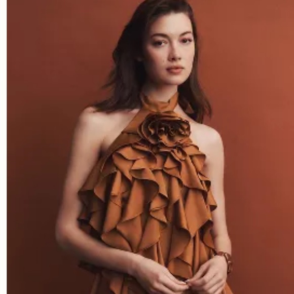 BHLDN MARIA ROSETTE RUFFLE MINI DRESS - Picture 2 of 9